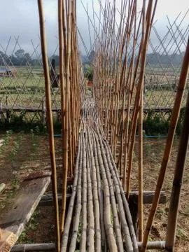 The bridge is made of bamboo. Stock Photos