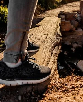 Bridge made with a fallen tree Stock Photos
