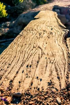 Bridge made with a fallen tree Stock Photos