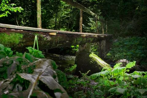 Bridge made of a log Stock Photos
