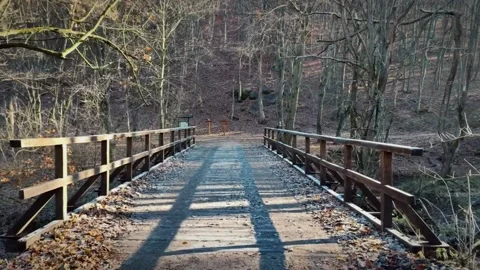 Bridge in the middle of the forest 스톡 동영상 224443929