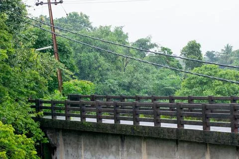 A bridge in the middle of forest Stock Photos
