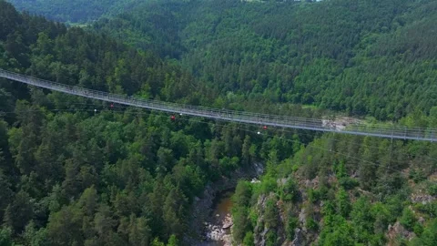 Bridge in Mountain Forest Stock Footage 319887175