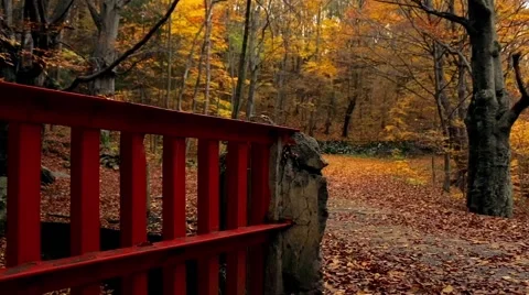 Bridge on a mountain river Stock Footage 69056177