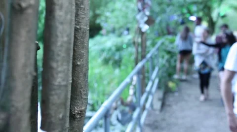 Bridge in the nature Video stock 42795658