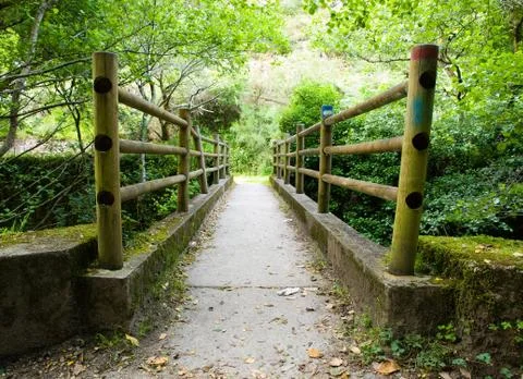 Bridge in nature Stock Photos