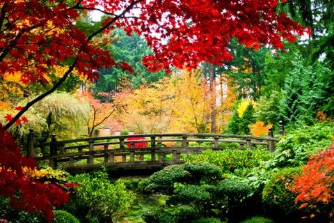 Bridge nature Stock-Fotos