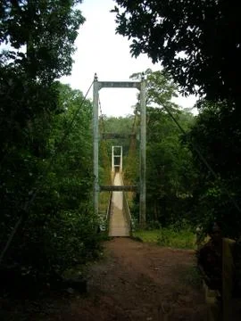 A bridge to nature Stock Photos