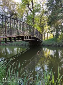 Bridge in nature Stock Photos
