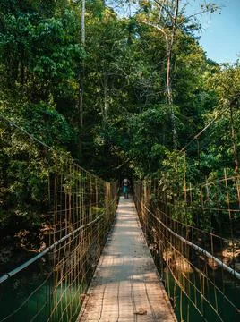 Bridge in the nature Stock Photos