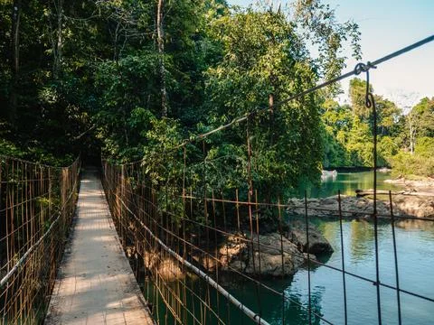 Bridge in the nature Stock Photos