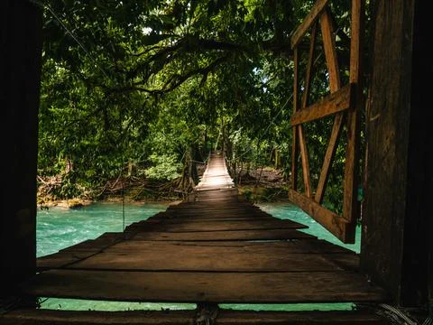 Bridge in the nature Stock Photos