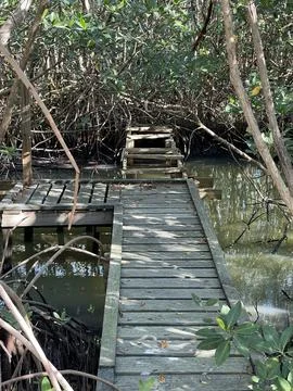 Bridge To Nowhere Closer. Stock Photos