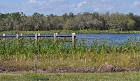 Bridge to Nowhere Stock Photos