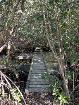 Bridge To Nowhere Stock Photos