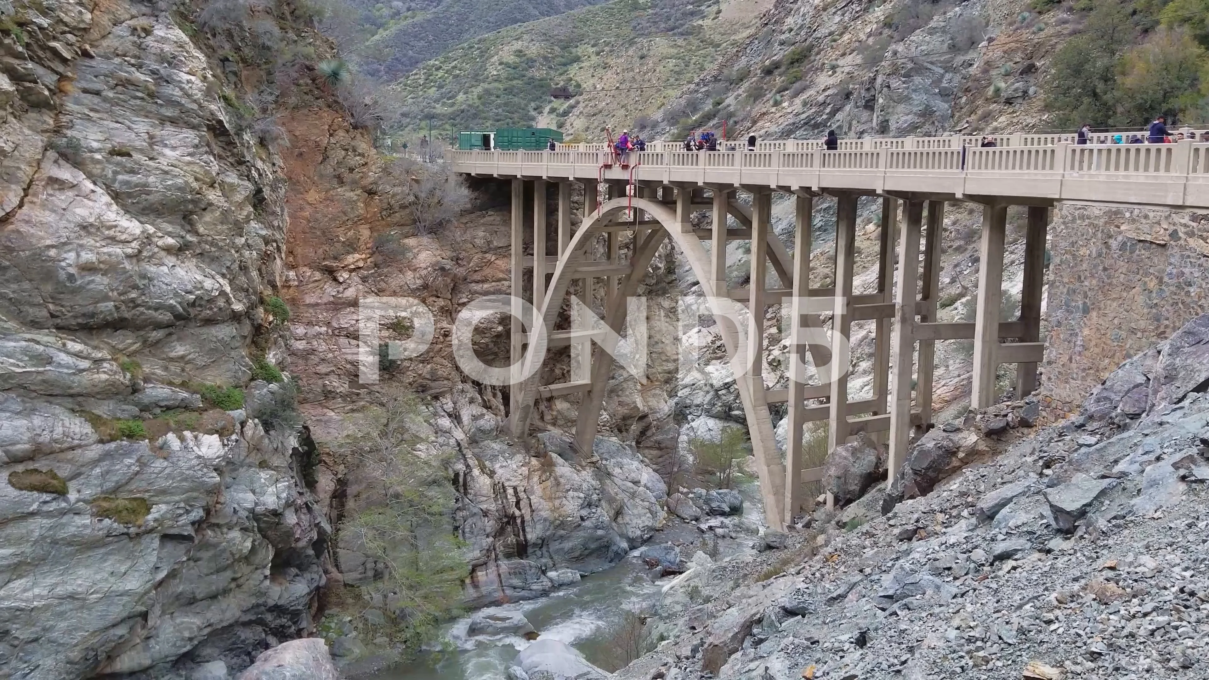 are dogs allowed in the bridge to nowhere