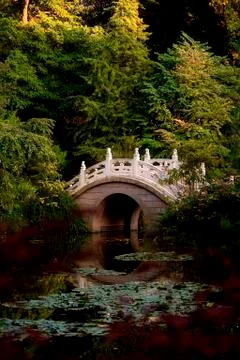 Bridge out of stone Foto stock