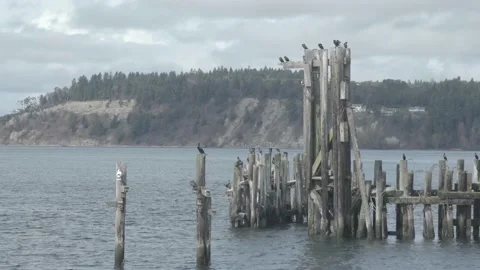 A bridge over a body of water Stock Footage 155403338
