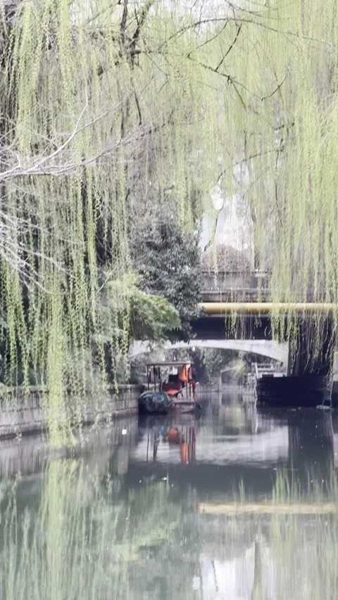 Bridge Over Canal with Hanging Willows_04 Stock Footage 310083725