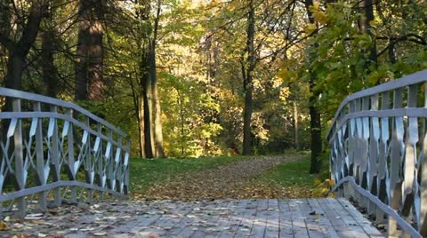 Bridge over the creek and leaf fall Stock Footage 10892788