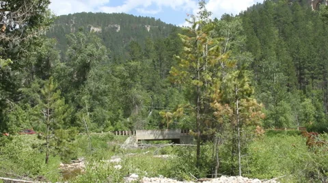 Bridge over Creek in forest Stock Footage 40465191