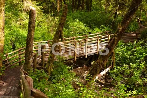Bridge over the creek, gold bar, washington, usa Stock Photos