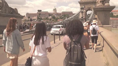 Bridge over the Danube, Budapest 스톡 동영상 113152749
