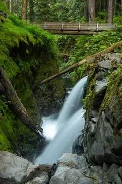 Bridge Over Dol Duc Falls In Olympic 库存照片