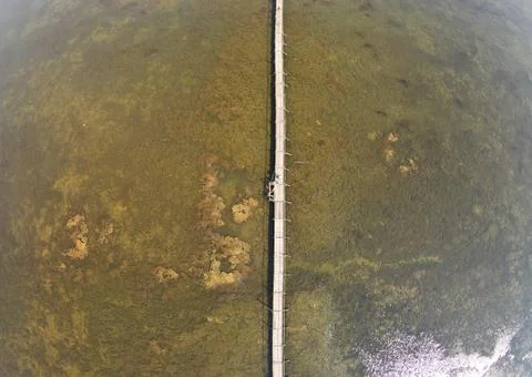 The bridge over the estuary is overgrown with algae Stock Photos