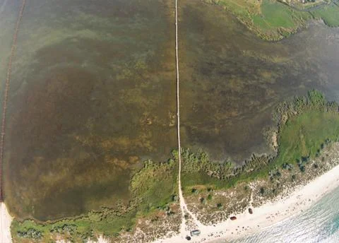 The bridge over the estuary is overgrown with algae Foto stock