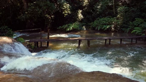 Bridge over fast jungle stream  deep in the rainforest Stock Footage 178417214