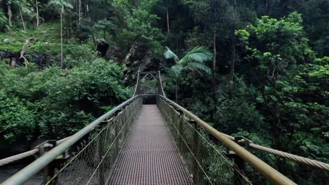 Bridge Over Forest Waterfall Vídeo Stock 295399375