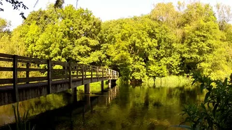 Bridge Over Gentle River Stock Footage 12143506