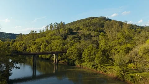 Bridge over green river amid trees on a sunny day. Irani river. Stock Footage 317657356