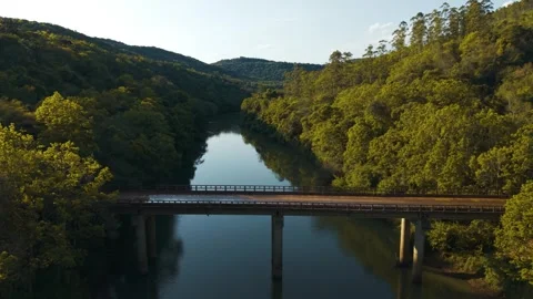 Bridge over green river amid trees on a sunny day. Irani river. Stock Footage 317657446