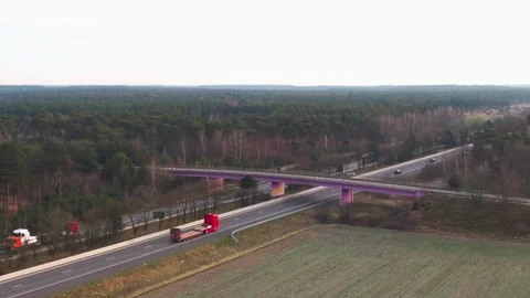 Bridge over highway next to a forest Stock Footage 240388128