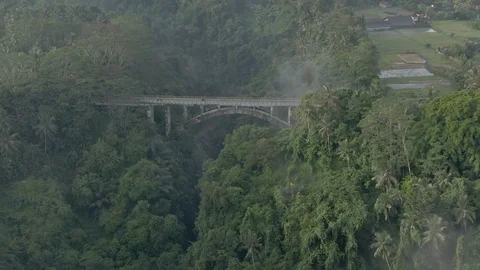 Bridge over the jungle Stock Footage 112737659
