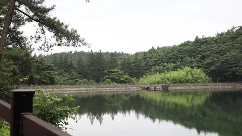 Bridge over the lake, bridge over the river Stock-Footage 310075842