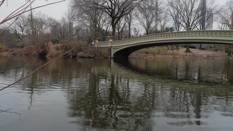 Bridge over lake in central park Stock Footage 129678400