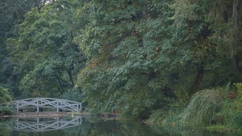 Bridge over a Lake Stock Footage 88717121