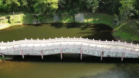 Bridge over a lake in the forest among the hills. Stock Footage 309457945