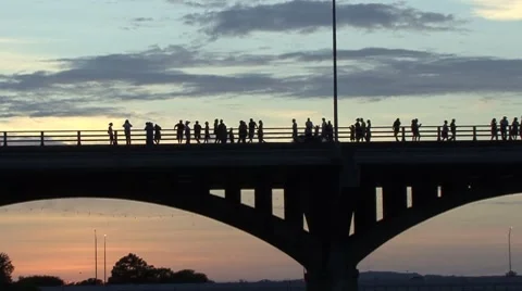 BRIDGE OVER LAKE - HD Stock Footage 8525051