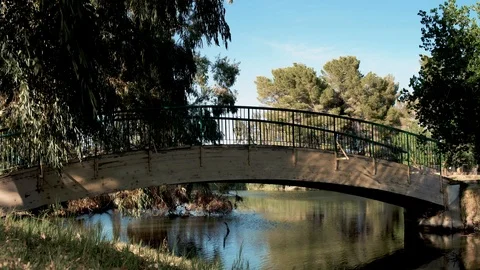 Bridge over lake with water reflection pattern, slider behind tree Vídeos de archivo 107749925