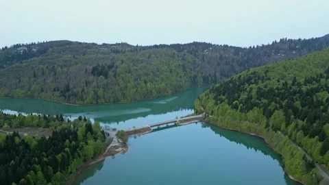 Bridge over a mountain lake, clear lake among the forest, aerial view Stock Footage 274487306