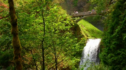 Bridge over Multnomah Falls Stock Footage 313556