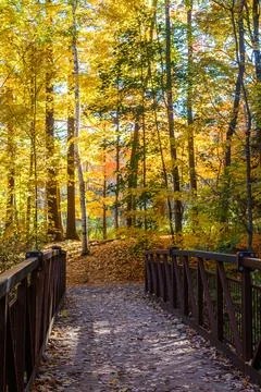 Bridge over Path at Lambton Park in Autumn Stock Photos