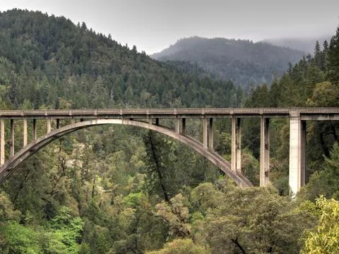 Bridge over Pine Forests Foto stock