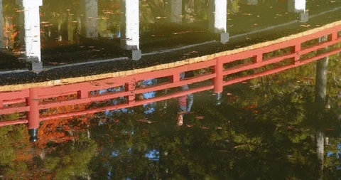 Bridge over pond in Danjogaran temple, at Mount Koya, Japan. (B) Stock Footage 121099799