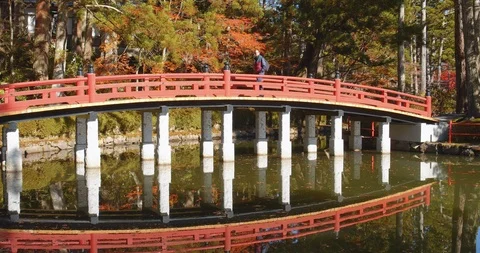 Bridge over pond in Danjogaran temple, at Mount Koya, Japan. (D) Stock Footage 121099893
