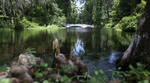 Bridge Over Pond Stock Footage 26602198